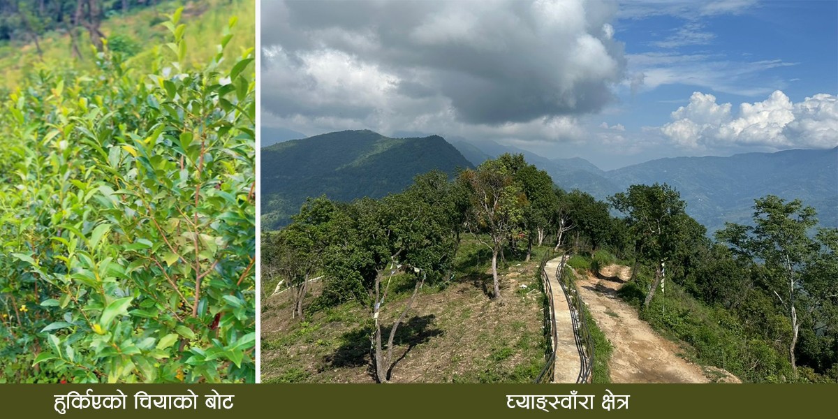 श्रमदान कार्यक्रम सञ्चालन गर्दै नुवाकोटको पञ्चकन्या पालिका, साउन २३ मा घ्याङ्स्वाँरा आउन अपिल