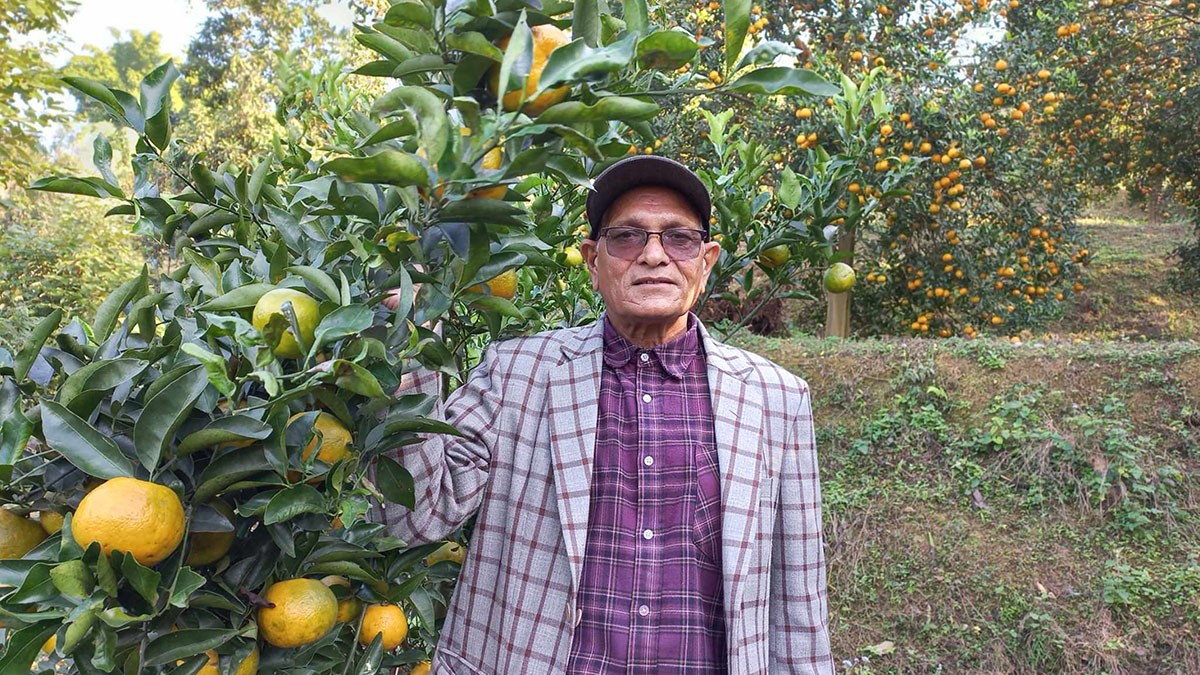 सेवानिवृत्त कृषि प्रसार अधिकृत थापाको सुन्तला पौरख