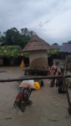 वर्षाका कारण सप्तरीका ५०० सय घर डुबानमा