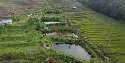 कमल तामाङ विदेशबाट फर्केर माछापालनमा रमाउँदै