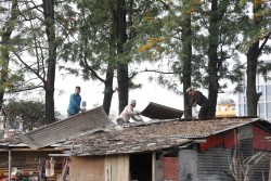 बस्ती छाड्दै मनोहराका ७७७ सुकुमवासी परिवार