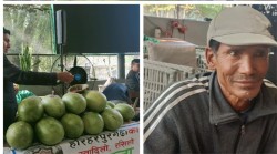 सिन्धुली हरिहरपुरढीको तरबुजा काठमाडौंको दरबारमार्ग कृषि बजारमा