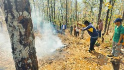 नुवाकोटमा दुई हजार रोपनी वन क्षेत्रमा डढेलो