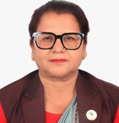 राष्ट्रियसभाका उपाध्यक्ष भण्डारीको राजनीतिक यात्रा