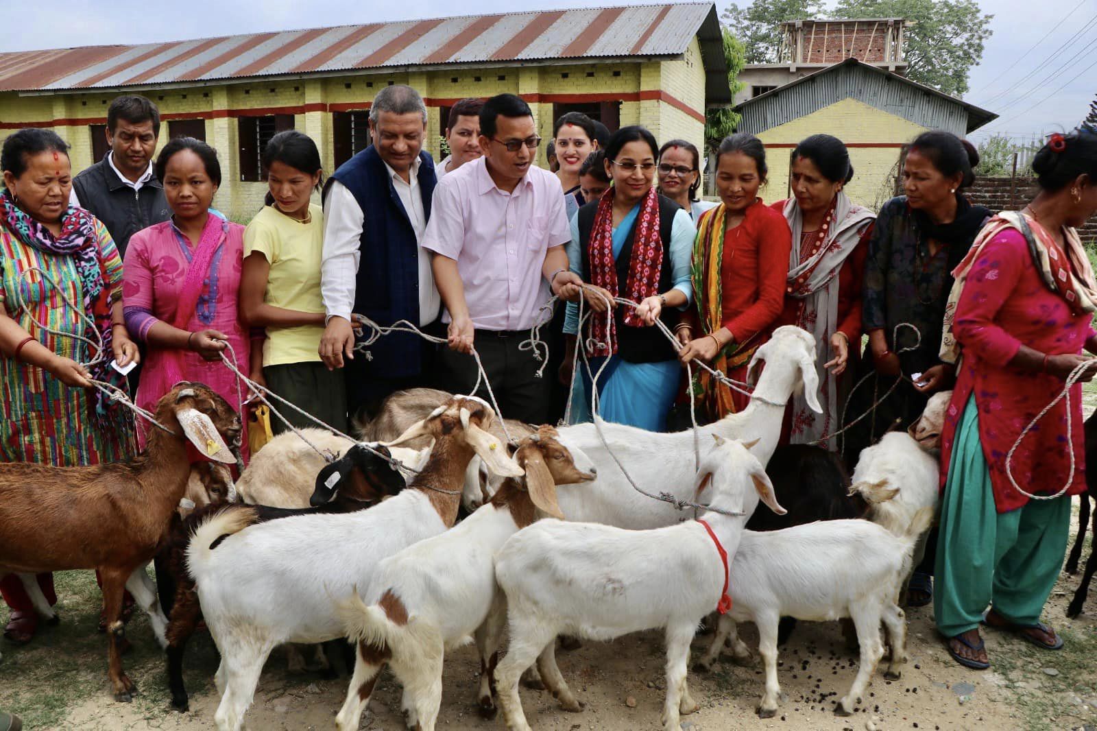 भरतपुरमा किसानलाई बाख्रा र धानको बीउ