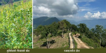 श्रमदान कार्यक्रम सञ्चालन गर्दै नुवाकोटको पञ्चकन्या पालिका, साउन २३ मा घ्याङ्स्वाँरा आउन अपिल