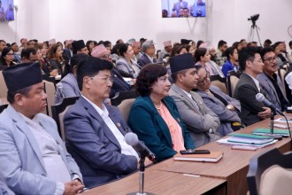 ग्यास अभावको समस्यालाई तत्कालै सम्बोधन गर्न सांसदहरूको माग