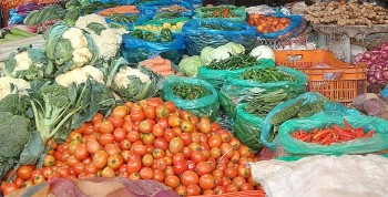 यस्तो छ आजका लागि सागसब्जी र फलफूलको थोक मूल्य