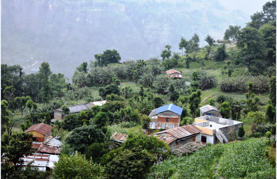 केरा बेचेर वार्षिक डेढ करोडभन्दा बढी आम्दानी