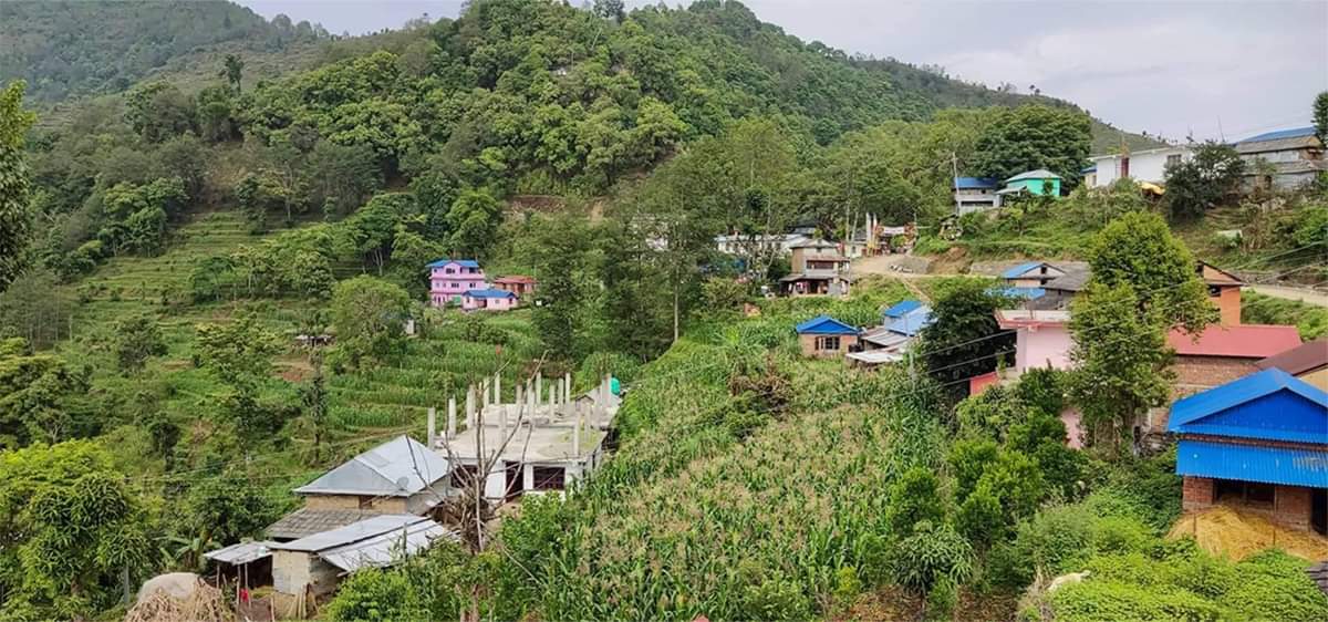 नुवाकोटको पञ्चकन्यामा दुई दिनदेखि विद्युत् सेवा अवरुद्ध, स्थानीय समस्यामा