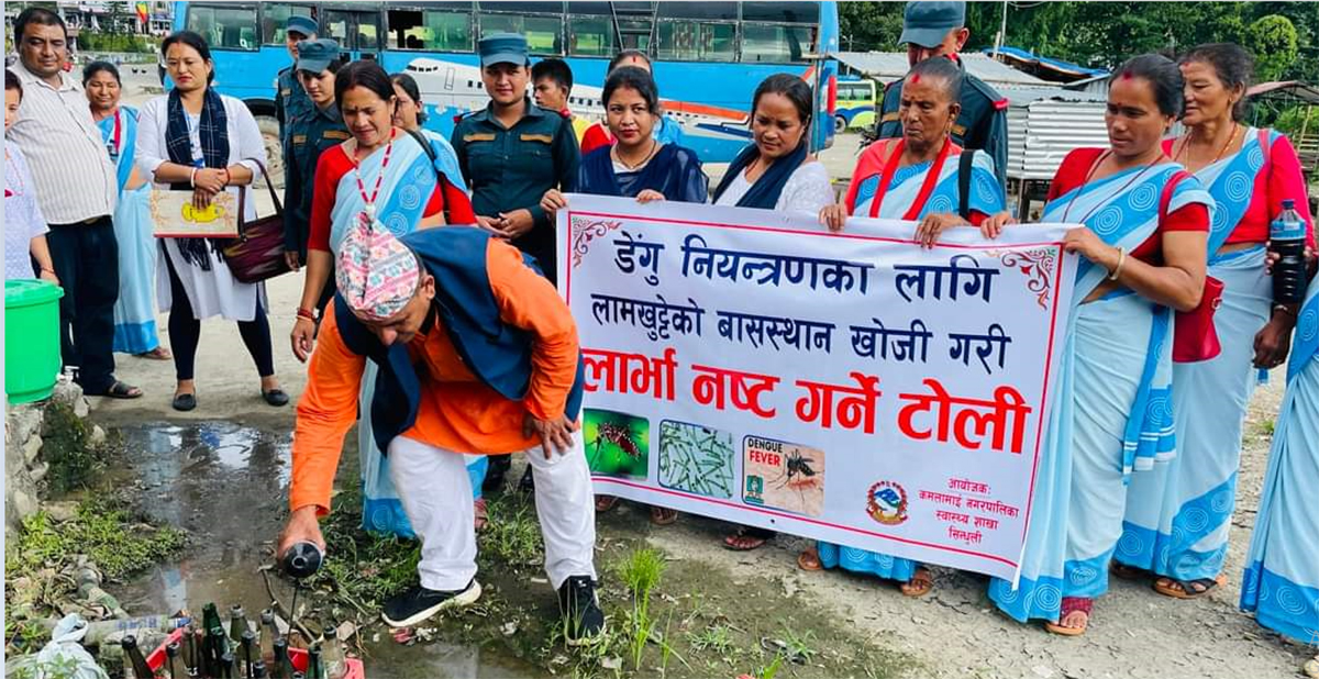 सिन्धुलीमा डेङ्गुका बिरामी ह्वात्तै बढे, लामखुट्टेका लार्भा नष्ट गर्ने अभियान थालनी