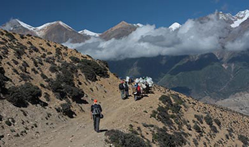 मध्यमाघसम्म हिउँ न वर्षा : खेती प्रणालीसँगै हिमाली जनजीवन प्रभावित